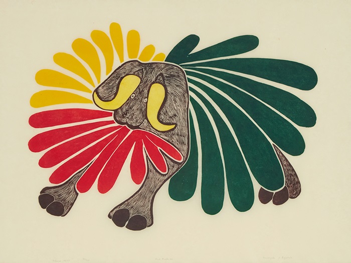 qiviut article - ANanogak Goose_Mad Musk ox