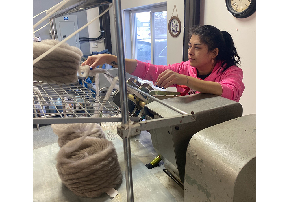 Tanis Simpson spinning a qiviut  roving