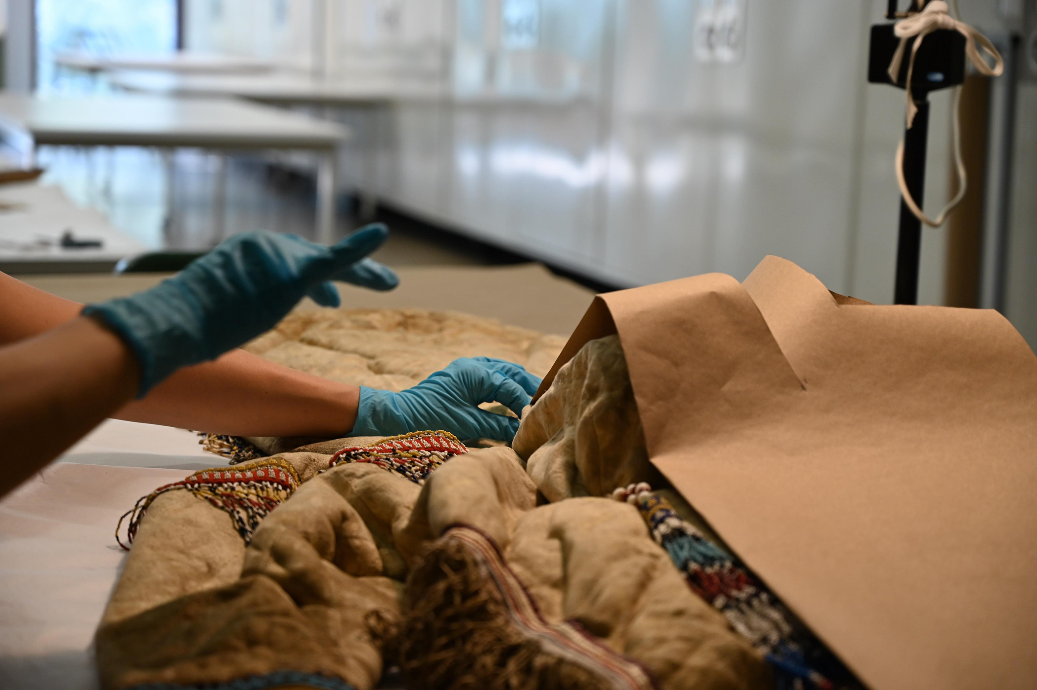 Brenda_AMNH_Pattern-Web