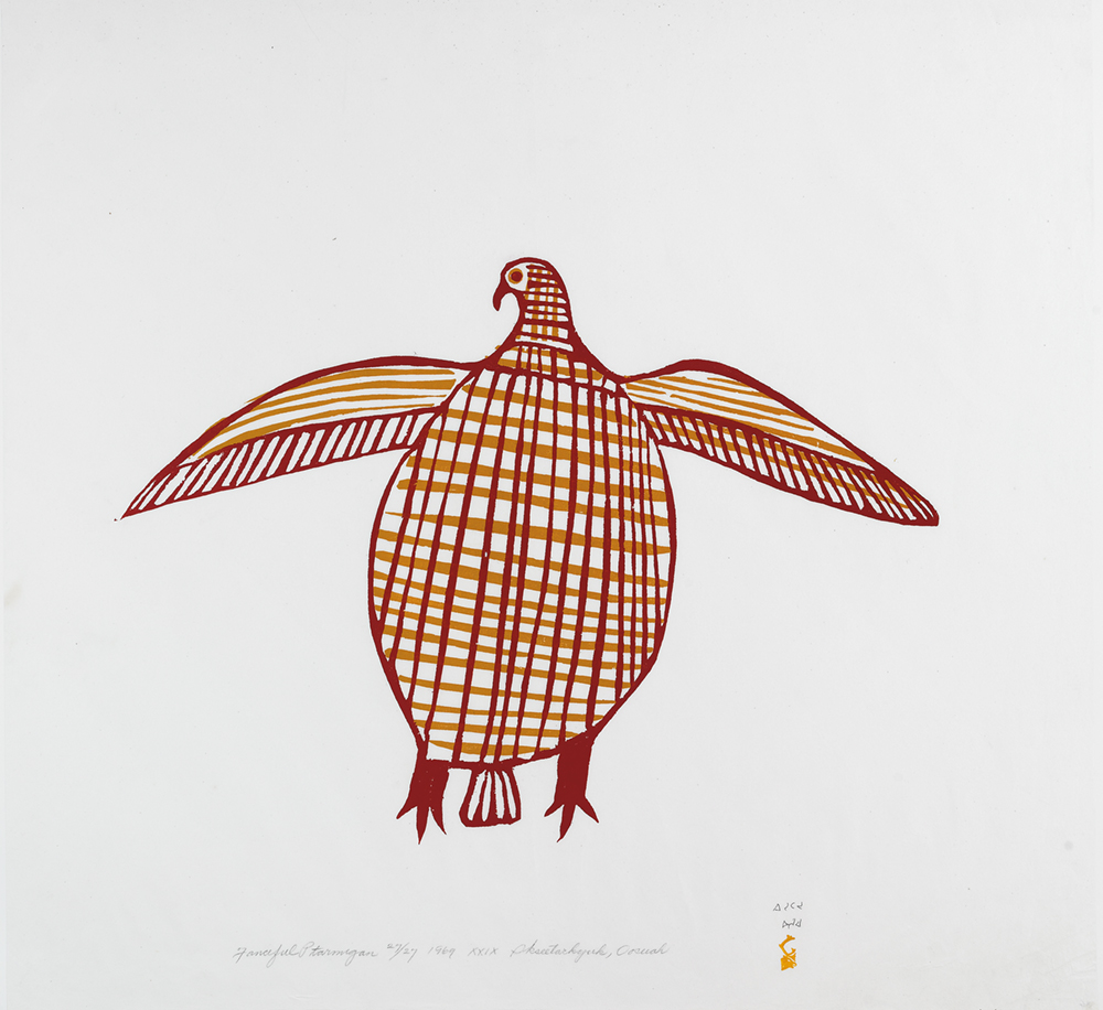 35.3_Feature_IKSIKTAARYUK_FANCIFUL-PTARMIGAN